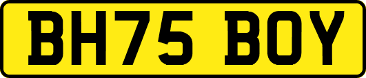 BH75BOY