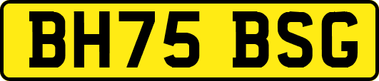 BH75BSG