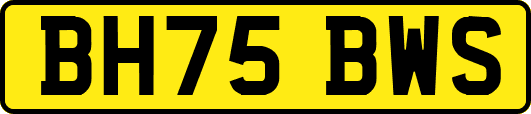 BH75BWS