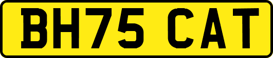 BH75CAT