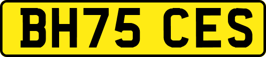 BH75CES