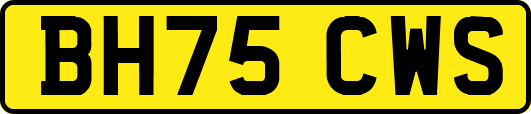 BH75CWS