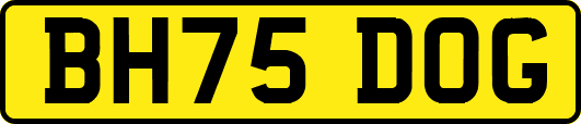 BH75DOG