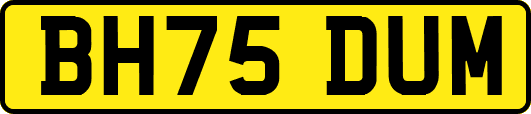 BH75DUM