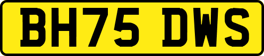 BH75DWS