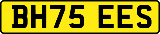 BH75EES