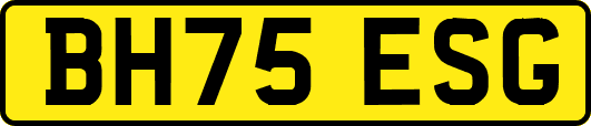 BH75ESG