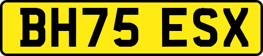 BH75ESX