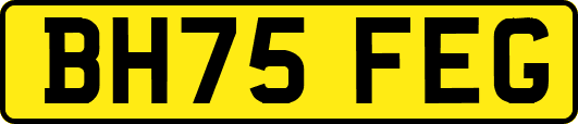 BH75FEG