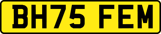 BH75FEM