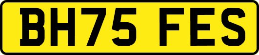 BH75FES