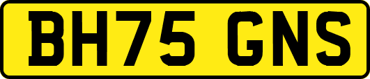 BH75GNS