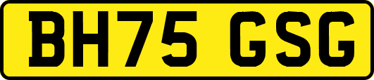 BH75GSG