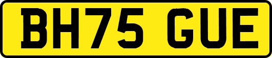 BH75GUE