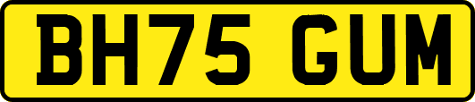 BH75GUM