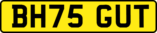 BH75GUT