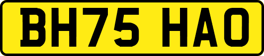 BH75HAO