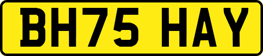 BH75HAY