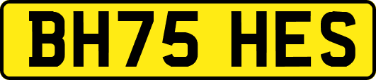 BH75HES