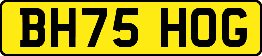 BH75HOG