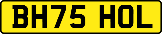 BH75HOL