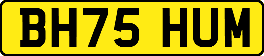 BH75HUM