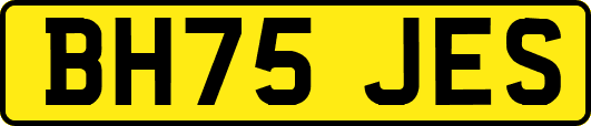 BH75JES