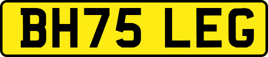 BH75LEG