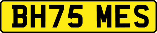 BH75MES