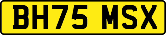 BH75MSX