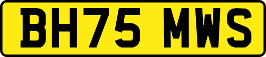BH75MWS