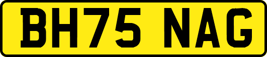 BH75NAG