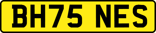 BH75NES