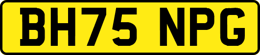 BH75NPG