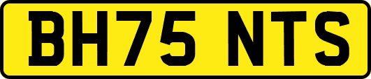BH75NTS