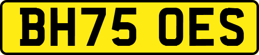 BH75OES