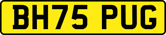 BH75PUG