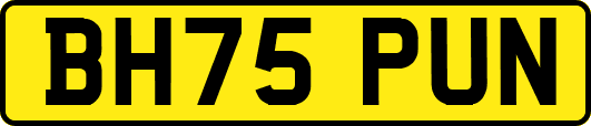 BH75PUN