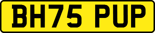 BH75PUP