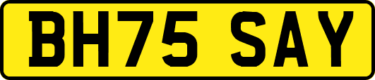 BH75SAY