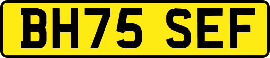 BH75SEF