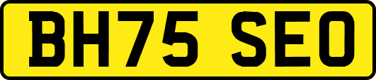 BH75SEO