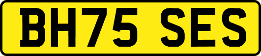BH75SES