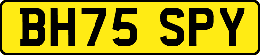 BH75SPY