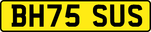 BH75SUS