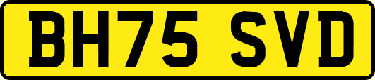 BH75SVD