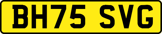 BH75SVG