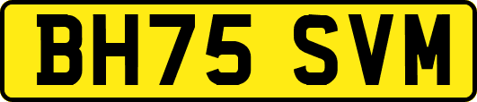 BH75SVM