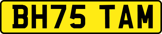BH75TAM