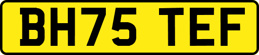 BH75TEF